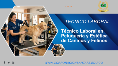 Técnico Laboral en Peluquería y Estética de Caninos y Felinos
